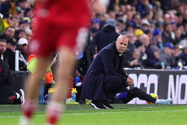 1765083084976036662.jpg 2249697136-612x612.jpg